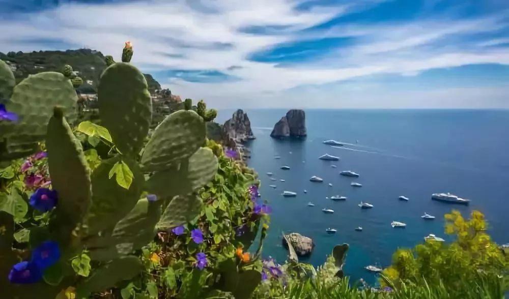 美丽海洋找不同